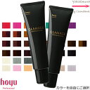 【x2本セット】ホーユー グラマージュ 150g ｜ヘアマニキュア｜カラーご選択（全36色）多彩なブラウン系・クリア・ソ…