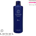 ルベル ルビオナ オキシ 6% 300mL 2剤【医薬部外品】 ※一般の方は購入できません