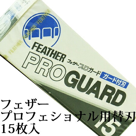 フェザー プロガード 15枚入り　PG-15 アーティストクラブシリーズ専用替刃 その1