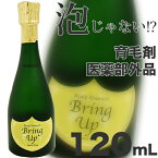 ブリングアップ／Bring up　120mL 【医薬部外品】薬用育毛剤