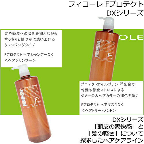 【送料無料！】フィヨーレ Fプロテクト【シャンプー1000mL ＆ ヘアマスク1000g 】セット＜ポンプタイプ＞リッチタイプ／ベーシックタイプ／DXタイプ　よりご選択