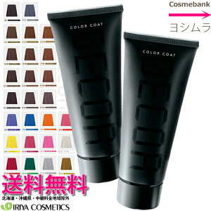 【x2本セット】イリヤ カラーコート ／ CC デコレ 160g ＜ヘアマニキュア｜全27色＞ IRIYA COSMETICS【　業務用/プロ用/サロン専売/ヘアカラー/ヘアマニキュア/クリーミージェル/色鮮やか/しっとりなめらかな/天然保湿成分】