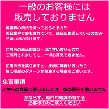 ルベル ロコル　ペールアッシュ　300g　【ニュアンスライン｜5分で定着｜塩基性カラー】※一般の方購入不可※免責あり※