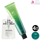 4本セット・送料無料!フィヨーレ BLカラー 120g MB(マットブルー)+ クリームデベロッパー 2剤 6% 100mL セット|1剤 +2剤 アルカリカラー 高彩度 染毛剤 脱色剤 医薬部外品 サロン業務用 深い水色