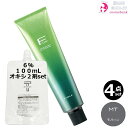 4本セット・送料無料!フィヨーレ BLカラー 120g MT(モノトーン)+ クリームデベロッパー 2剤 6% 100mL セット|1剤 +2剤 アルカリカラー 無彩色 染毛剤 脱色剤 医薬部外品 サロン業務用 灰色