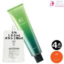 4本セット・送料無料!フィヨーレ BLカラー 120g P(ピンク)+ クリームデベロッパー 2剤 6% 100mL セット|1剤 +2剤 アルカリカラー 高彩度 染毛剤 脱色剤 医薬部外品 サロン業務用 桃色