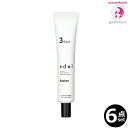 【6点セット・送料無料!一部地域対象外】ルベル エドル ラスター 3days 30mL|ホームケア・カラー後3日間使うヘアトリートメント