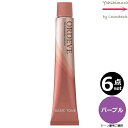 【6本セット・送料無料!】ミルボン オルディーブ 60 パープル 80g |トーン番号選択|1剤|医薬部外品|ベーシックトーン| ※一般の方には、販売しません milbon ordeve