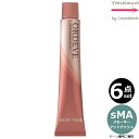 【6本セット・送料無料!】ミルボン オルディーブ sMA スモーキーマットアッシュ 80g |トーン番号選択|1剤|医薬部外品|ベーシックトーン| ※一般の方には、販売しません milbon ordeve