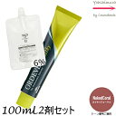 【メール便 全国送料無料!】ミルボン オルディーブ アディクシー NakedCoral ネイキッドコーラル 80g + クリームデベロッパー(ティアーズ) 2剤 6% 100mL セット |トーン番号選択|1剤+2剤|医薬部外品 nCR ネイキッドライン
