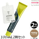 【2本セット・送料無料!】ミルボン オルディーブ アディクシー PaleBeige(ペールベージュ) 80g + クリームデベロッパー(ティアーズ) 2剤 6% 100mL セット |1剤+2剤|医薬部外品 ペールライン