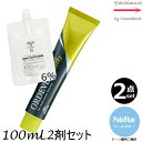 【2本セット・送料無料!】ミルボン オルディーブ アディクシー PaleBlue(ペールブルー) 80g + クリームデベロッパー(ティアーズ) 2剤 6% 100mL セット |1剤+2剤|医薬部外品 ペールライン