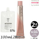 【2本セット・送料無料!】ミルボン オルディーブ ハーフトーン sLGG/H シェルグレージュ 80g + クリームデベロッパー(ティアーズ) 2剤 6% 100mL セット |トーン番号選択|1剤+2剤|医薬部外品|低アルカリカラー milbon ordeve