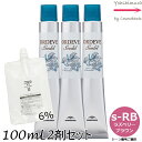 【3点セット・送料無料!】ミルボン オルディーブ シーディル s-RB(ラズベリーブラウン) 80g + クリームデベロッパー(ティアーズ) 2剤 6% 100mL セット |トーン番号選択|1剤+2剤|医薬部外品