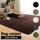 洗える 抗菌 防臭 ラグ カーペット ピオニー 4畳 約200×300cm (ホットカーペット対応) 長方形 ラグマット マット 絨毯 洗える ウォッシャブル ...