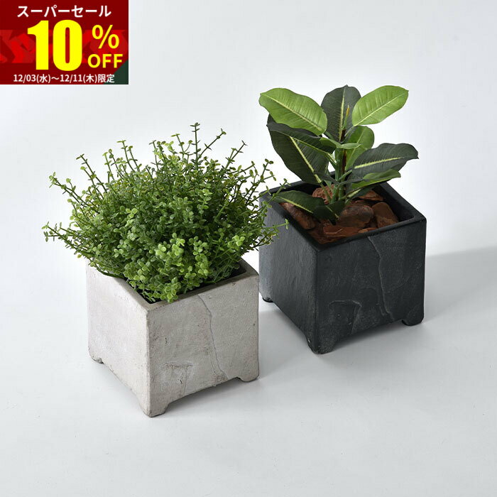 ★スーパーセール 10％OFF★植木鉢 プランター 鉢 ポット スクエア 4号 おしゃれ 北欧 アンティーク 小さめ ガーデニング ガーデン インテリア 四角 角型 観葉植物 園芸 室内 屋外 多肉 植物 玄関 鉢植え 庭 可愛い かわいい フラワーポット グリーンポット ミニ 小さい 小型のサムネイル