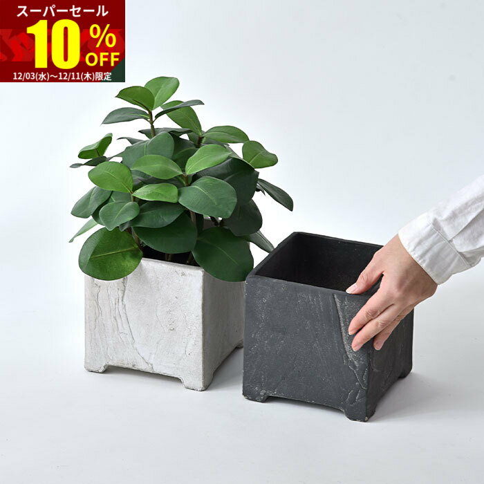 ★スーパーセール 10％OFF★植木鉢 プランター 鉢 ポット スクエア 5号 おしゃれ 北欧 アンティーク 小さめ ガーデニング ガーデン インテリア 四角 角型 観葉植物 園芸 室内 屋外 多肉 植物 玄関 鉢植え 庭 可愛い かわいい フラワーポット グリーンポット ミニ 小さい 小型のサムネイル