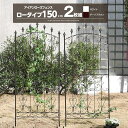 フェンス アイアンフェンス 2枚組 ロータイプ ガーデンフェンス アイアン トレリス ガーデニング アンティーク 目隠し 屋外 仕切り 柵 プランター 薔薇 バ...