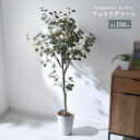 ★LINE追加で300円クーポン★フェイクグリーン 大型 玄関 ユーカリ ユーカリの木 150cm 鉢植え おしゃれ 新築祝い スリム 人工観葉植物 観葉植物 ...