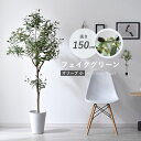 ★LINE追加で300円クーポン★フェイクグリーン 大型 玄関 オリーブ オリーブの木 150cm 鉢植え おしゃれ 新築祝い スリム 人工観葉植物 観葉植物 ...