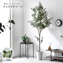 ★LINE追加で300円クーポン★フェイクグリーン 大型 玄関 オリーブ オリーブの木 180cm 鉢植え おしゃれ 新築祝い スリム 人工観葉植物 観葉植物 ...