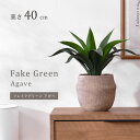 ★LINE追加で300円クーポン★インテリアグリーン アガベ 高さ40cm ナチュラル ナチュラルインテリア フェイクグリーン 観葉植物 人工観葉植物 ミニ フ...