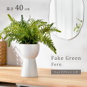 ★LINE追加で300円クーポン★インテリアグリーン シダ 高さ40cm ナチュラル ナチュラルインテリア フェイクグリーン 観葉植物 人工観葉植物 ミニ フェ...