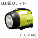 LED̓Cg LK-314D@[3167]