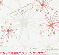 ��åԥ��մʰץ��ե�Ȣ�ڥ磻��1���ѥ����ȥ�ۢ㥫�顼����åɢ������桧������ʥ��ե�gift��