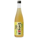 中野BC 紀州のパイナップル梅酒 720ml[中野BC 日本 和歌山 梅酒]