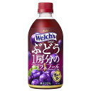 アサヒ Welch’s(ウェルチ) ぶどう1房分のポリフェノール [PET] 470ml × 24本[ケース販売] [アサヒ飲料 日本 飲料 果実飲料 2E1GB]