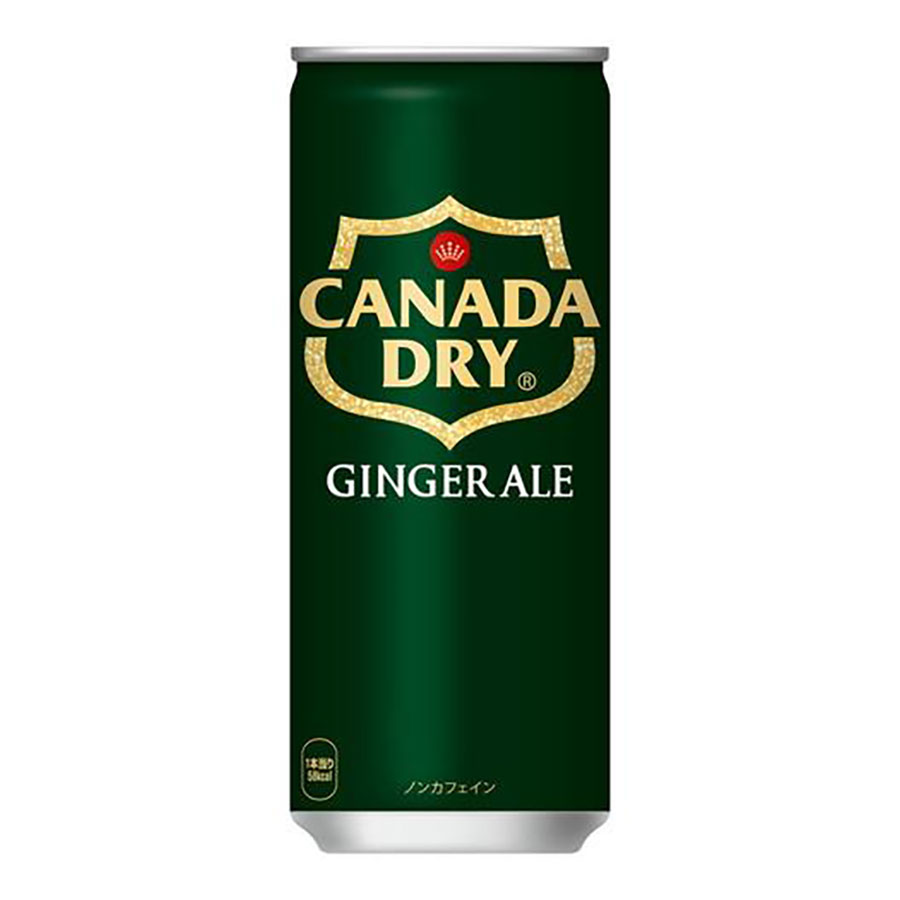 カナダドライ ジンジャーエール [缶] 250ml x 60本[2ケース販売] 送料無料(本州のみ) [コカコーラ 飲料 炭酸飲料 日本 54703]