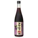 ブルーベリー梅酒 720ml [中野BC 和歌山県] 送料無料 沖縄対象外 