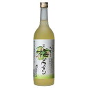 紀州の梅ワイン 720ml [中野BC 和歌山県] 送料無料(沖縄対象外)