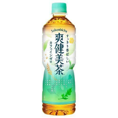 爽健美茶 [ペット] 600ml x 48本 [2ケース販売] 送料無料 【代引き不可 クール便不可 同梱不可】 ギフト プレゼント 敬老の日