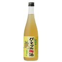 パイナップル梅酒 720ml [中野BC 和歌山県] 送料無料 沖縄対象外 