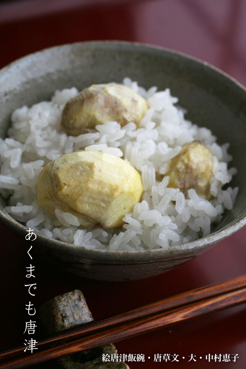 唐津焼：絵唐津飯碗・唐草文・大・中村恵子《飯碗・ご飯茶碗》