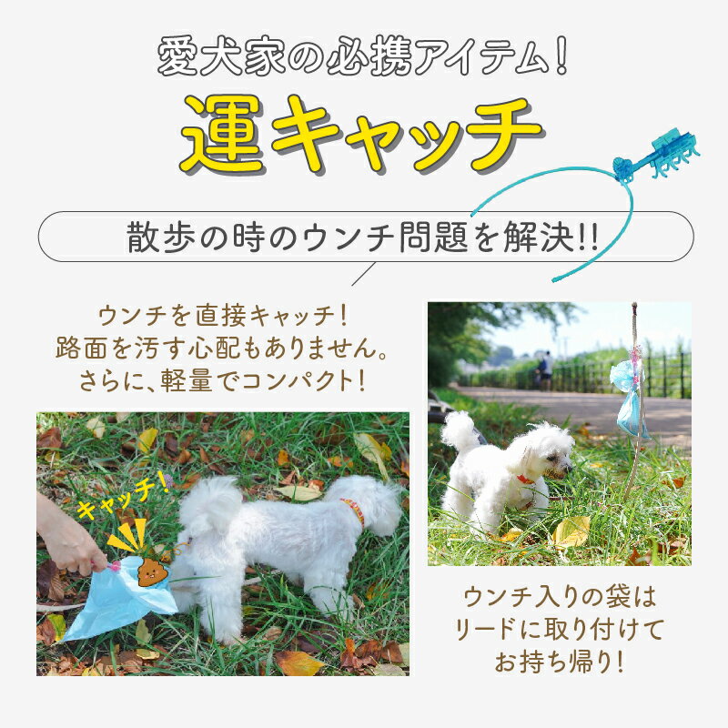 ���ѥե󥭥�å��㡼�� ������å� ��