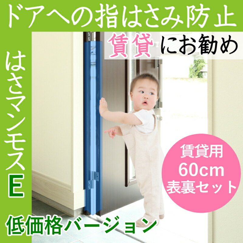 ★6/4-11 P最大26倍★【教育施設様限定商品】-ed 800546 米粉めん（30食）（2）山菜うどん メーカー名 尾西食品-【教育・福祉】