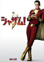 【おまけCL付】新品 シャザム! / ザッカリー・リーヴァイ、アッシャー・エンジェル (DVD) 1000753397