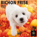 【おまけCL付】ビション・フリーゼ PICTWAN (ピクトワン) カレンダー DOG 【L版】 2024年カレンダー 24CL-50003L