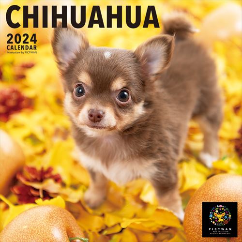 ڤޤCLաۥ PICTWAN (ԥȥ)  DOG Lǡ 2024ǯ 24CL-50008L