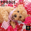 【おまけCL付】プードル PICTWAN (ピクトワン) カレンダー DOG 【L版】 2024年カレンダー 24CL-50020L