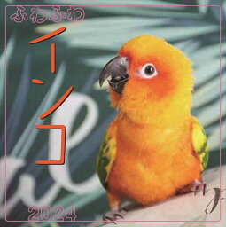 【おまけCL付】ふわふわインコ 2024年カレンダー 24CL-0386