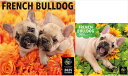 【残りわずか!!】【おまけCL付】フレンチ・ブルドッグ PICTWAN (ピクトワン) カレンダー DOG 【L版】【S版】セット 2025年カレンダー 25C...