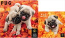 【残りわずか!!】【おまけCL付】パグ PICTWAN (ピクトワン) カレンダー DOG 【L版】【S版】セット 2025年カレンダー 25CL-50021L...