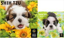 【残りわずか!!】【おまけCL付】シー・ズー PICTWAN (ピクトワン) カレンダー DOG 【L版】【S版】セット 2025年カレンダー 25CL-500...