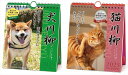 【残りわずか!!】犬川柳 / 猫川柳 週めくり 卓上/壁掛 セット 25CL-0386 25CL-0387 2025年カレンダー 25CL-0386-0387