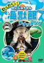 新品 わくわくっ！海獣館（かいじゅうかん）ウォッチング （DVD） KID-1402