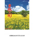 2025/09/20発売予定! 【おまけCL付】自然の彩 2026年 壁掛けカレンダー CL26-1504